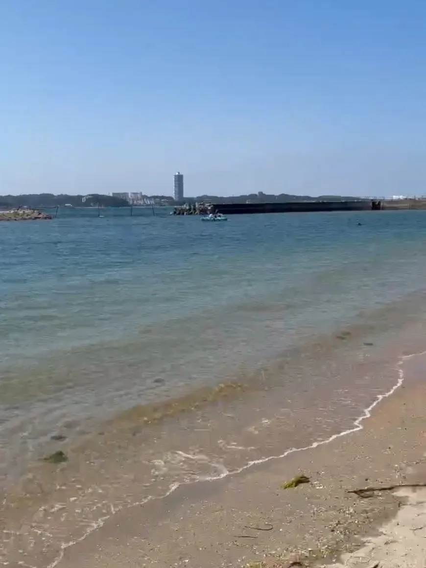子ども達の夏休みに日帰りで日間賀島へ🐙