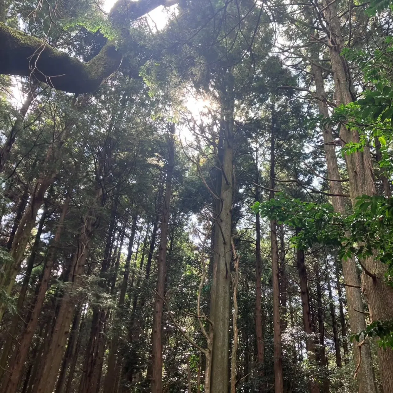 三重県は菰野町にある福王神社へ⛩️